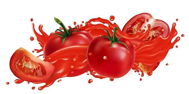 EPS 해외이미지 음료 음식 조각 다이어트 토마토 채소 일러스트 재료 건강 요리 그래픽 빨간색 주방 식당 주스 카페 샐러드 물방울 신선 액체 달콤 맛 떨어짐 먹기 메뉴 유기농 날것 레시피 비타민 내추럴 고립 숙성 채식주의자 스플래쉬 현실 비건 맛있는 해외일러스트 웰빙 컬러 컨셉 모션 상점 채식 영양소 파일형식 벡터 이미지허브