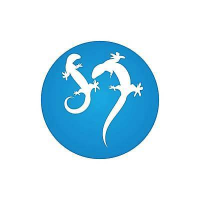 EPS 해외이미지 동물 템플릿 디자인 실루엣 야생동물 선 백그라운드 컨셉 일러스트 파충류 자연 추상 동물원 개구리 양서류 미술 그래픽 장식 초록색 물 세트 픽토그램 검은색 흰색 연못 만화 문신 심볼 사인 그림 꼬리 도마뱀 윤곽 부족 고립 엘리먼트 카멜레온 활자 스타일 해외일러스트 자연요소 컬러 무늬 문화예술 촬영기법 생태계 활자판 파일형식 벡터 이미지허브