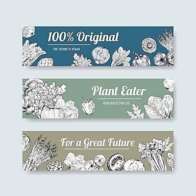 EPS 해외이미지 식물 배너 선 음식 채소 일러스트 호박 피망 사람없음 초록색 파란색 버섯 스케치 유기농 양배추 아스파라거스 내추럴 카키색 해외일러스트 웰빙 컬러 미술 파일형식 벡터 이미지허브