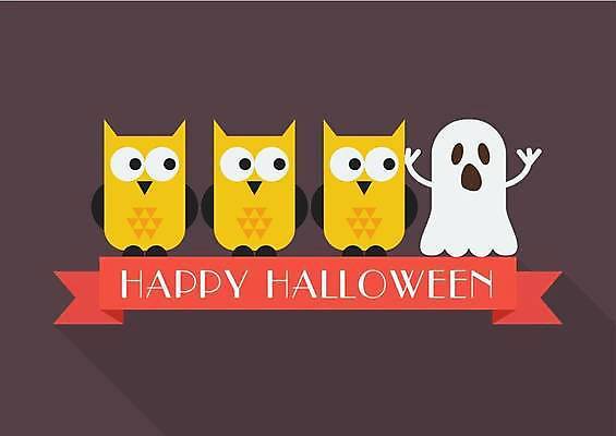 EPS 해외이미지 응시 리본 일러스트 세마리 사람없음 갈색 할로윈 유령 일렬 부엉이 해외일러스트 시선 컬러 조류 3 파일형식 벡터 이미지허브