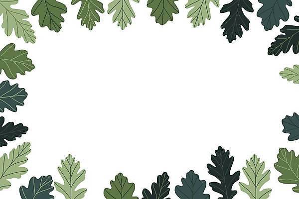 EPS 해외이미지 나무 식물 디자인 꽃 실루엣 백그라운드 잎 꽃무늬 패턴 일러스트 자연 벽지 추상 휴가 프레임 그래픽 장식 초록색 여름 컬러풀 노란색 유행 봄 흰색 나뭇가지 신용카드 화려 스케치 그림 질감 복고 내추럴 고립 엘리먼트 이국적 스타일 국경 해외일러스트 계절 컬러 컨셉 무늬 촬영기법 미술 금융 생태계 파일형식 벡터 이미지허브