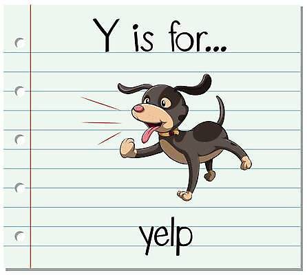 EPS 해외이미지 한마리 알파벳 영어 일러스트 영어교육 사람없음 단어 강아지 Y 다리들기 단어카드 앞발든 해외일러스트 문자 1 교육 모션 반려동물 개 파일형식 벡터 단어장 이미지허브