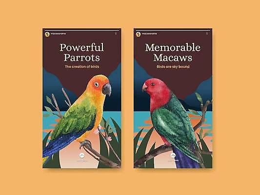 EPS 해외이미지 두마리 일러스트 자연 나뭇잎 열대 산 사람없음 세트 나뭇가지 열대우림 앵무새 소셜네트워크 소셜미디어 금강앵무새 해외일러스트 나무 잎 2 조류 숲 생태계 파일형식 벡터 이미지허브