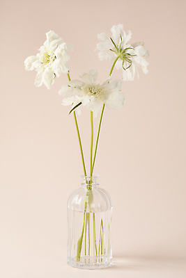 포토 JPG 꽃 유리병 사람없음 꽃병 부드러움 세송이 감성 분홍색배경 스카비오사 국내포토 식물 분홍색 백그라운드 컨셉 병_용기 3 감각 파일형식