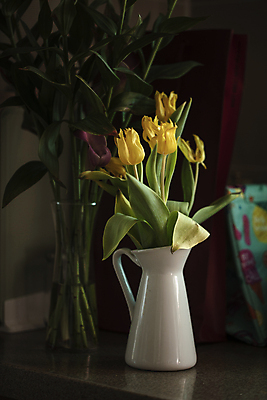 포토 JPG 잎 유리병 실내 사람없음 꽃병 어둠 튤립 카라 시들음 잎줄기 국내포토 식물 꽃 줄기 병_용기 내부 파일형식