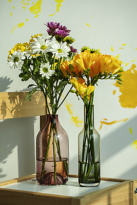 포토 JPG 여러송이 의자 유리병 실내 그림자 사람없음 꽃병 구절초 프리지어 민트색배경 국내포토 꽃 가구 다수 백그라운드 병_용기 내부 민트색 파일형식