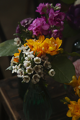 포토 JPG 꽃 여러송이 잎 실내 사람없음 꽃병 어둠 국내포토 식물 다수 내부 파일형식