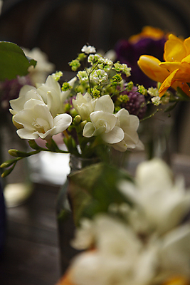 포토 JPG 꽃 여러송이 실내 사람없음 아웃포커스 꽃병 소프트포커스 잎줄기 국내포토 식물 줄기 다수 촬영기법 내부 파일형식