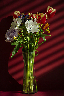 포토 JPG 유리병 실내 그림자 사람없음 햇빛 꽃병 튤립 감성 강렬 빨간배경 알스트로에메리아 국내포토 꽃 백그라운드 컨셉 병_용기 내부 빨간색 태양 파일형식