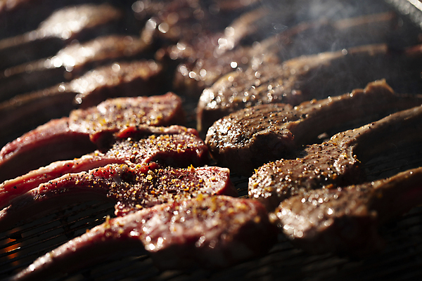 포토 JPG 주간 사람없음 야외 아웃포커스 캠핑 연기 바비큐 굽기 일렬 바베큐파티 양갈비 맛있는 국내포토 자연요소 음식 레저 촬영기법 파티 구이 파일형식