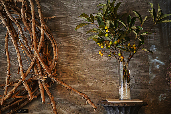 포토 JPG 화분 벽 과일 탁자 유리병 실내 사람없음 인테리어 나뭇가지 빈티지 분위기 과일나무 국내포토 나무 디자인 가구 컨셉 병_용기 내부 파일형식