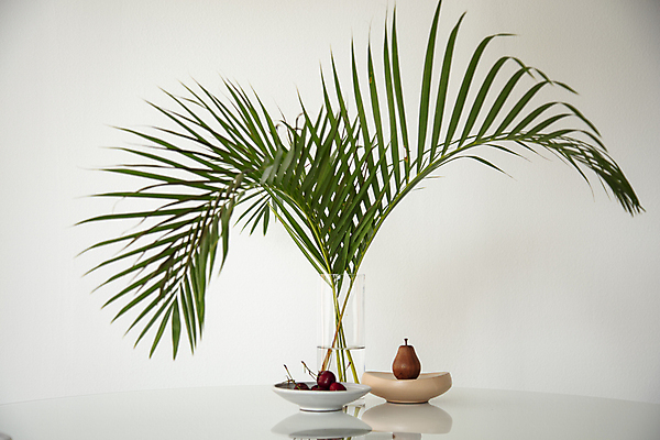 포토 JPG 접시 화분 식탁 탁자 유리병 실내 사람없음 목재 반사 모형 체리 분위기 조화 야자수잎 국내포토 나무 식기 가구 컨셉 잎 과일 재료 병_용기 내부 파일형식