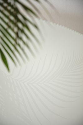 포토 JPG 탁자 실내 그림자 사람없음 반사 분위기 소프트포커스 야자수잎 국내포토 가구 컨셉 잎 촬영기법 내부 파일형식