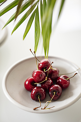 포토 JPG 접시 디저트 실내 사람없음 쌓기 체리 분위기 달콤 소프트포커스 흰배경 야자수잎 맛있는 국내포토 식기 음식 백그라운드 컨셉 잎 과일 모션 촬영기법 내부 흰색 맛 파일형식