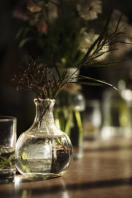 포토 JPG 열매 꽃 잎 유리병 실내 사람없음 아웃포커스 물 햇빛 꽃병 분위기 감성 국내포토 자연요소 식물 컨셉 병_용기 촬영기법 내부 태양 파일형식