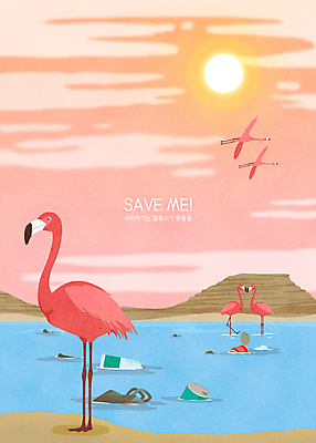 PSD 구름 호수 분홍색 여러마리 일러스트 하늘 바위산 사람없음 태양 비행 환경오염 오염 캔 쓰레기 플라밍고 페트병 멸종 멸종위기동물 생태계파괴 국내일러스트 멸종위기종 자연요소 동물 컬러 다수 컨셉 조류 돌산 병_담는 파일형식