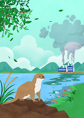 PSD 구름 한마리 호수 일러스트 공장 하늘 나뭇잎 산 사람없음 바위 풀 오염 연기 쓰레기 멸종 멸종위기동물 수질오염 공장굴뚝 공장시설 생태계파괴 수달 폐수 폐수방류 국내일러스트 멸종위기종 자연요소 식물 동물 1 잎 공업 돌_바위 환경오염 시설 파일형식