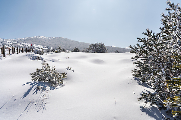 포토 JPG 주간 설경 겨울 하늘 사람없음 야외 제주도 맑음 눈 한라산 겨울풍경 눈덮임 국내포토 자연요소 계절 컨셉 날씨 산 한국 풍경 파일형식