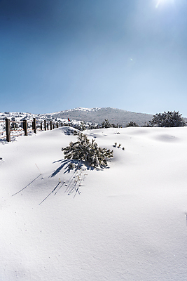 포토 JPG 주간 설경 겨울 하늘 사람없음 야외 울타리 햇빛 제주도 맑음 눈 한라산 겨울풍경 눈덮임 국내포토 자연요소 계절 컨셉 날씨 산 한국 풍경 담장 태양 파일형식