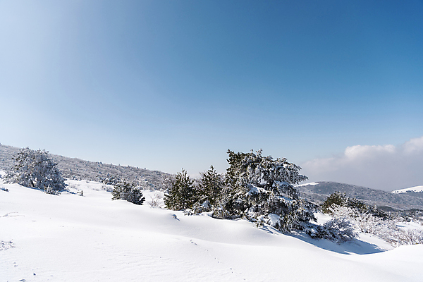 포토 JPG 주간 구름 설경 겨울 하늘 사람없음 야외 제주도 맑음 눈 한라산 겨울풍경 눈덮임 국내포토 자연요소 계절 컨셉 날씨 산 한국 풍경 파일형식