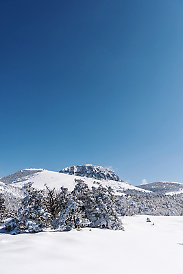 포토 JPG 주간 설경 겨울 하늘 사람없음 야외 제주도 맑음 눈 한라산 겨울풍경 눈덮임 국내포토 자연요소 계절 컨셉 날씨 산 한국 풍경 파일형식