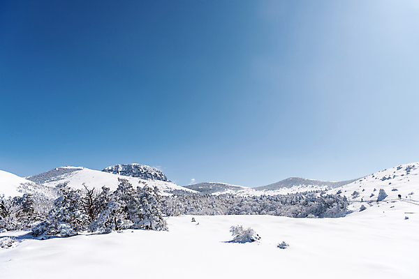 포토 JPG 주간 설경 겨울 하늘 사람없음 야외 제주도 맑음 눈 한라산 겨울풍경 눈덮임 국내포토 자연요소 계절 컨셉 날씨 산 한국 풍경 파일형식