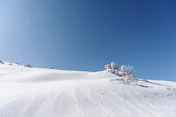 포토 JPG 주간 설경 겨울 하늘 사람없음 야외 제주도 맑음 눈 상고대 한라산 겨울풍경 눈덮임 국내포토 자연요소 계절 컨셉 날씨 산 한국 풍경 서리 파일형식