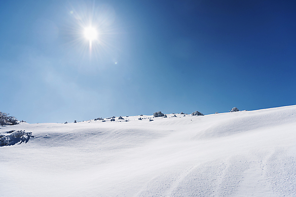 포토 JPG 주간 설경 겨울 하늘 사람없음 야외 햇빛 제주도 맑음 눈 한라산 겨울풍경 눈덮임 국내포토 자연요소 계절 컨셉 날씨 산 한국 풍경 태양 파일형식