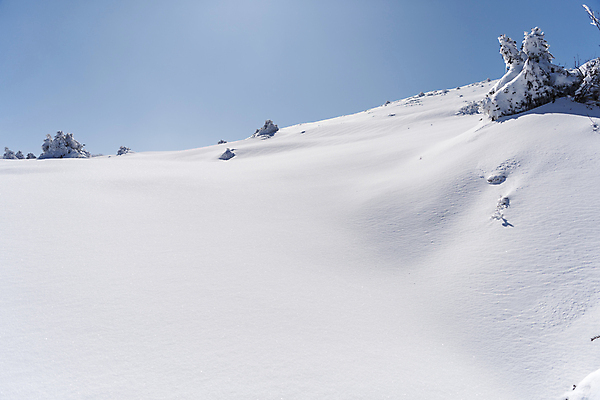 포토 JPG 주간 설경 겨울 하늘 사람없음 야외 제주도 맑음 눈 한라산 겨울풍경 눈덮임 국내포토 자연요소 계절 컨셉 날씨 산 한국 풍경 파일형식
