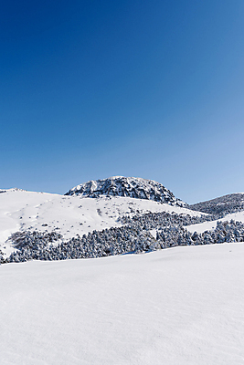 포토 JPG 주간 설경 겨울 하늘 사람없음 야외 제주도 맑음 눈 상고대 한라산 겨울풍경 눈덮임 국내포토 자연요소 계절 컨셉 날씨 산 한국 풍경 서리 파일형식