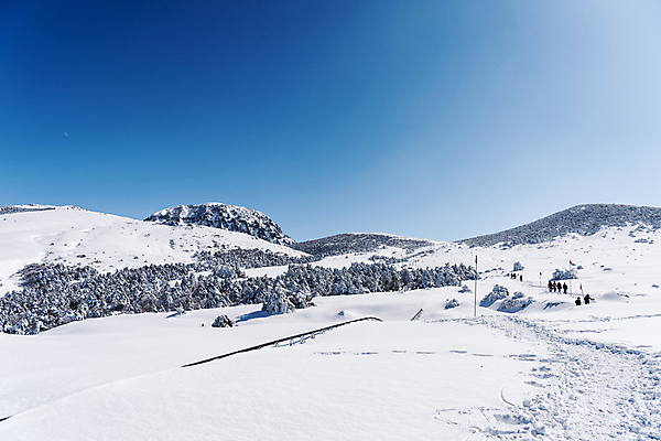 포토 JPG 주간 설경 겨울 하늘 사람없음 야외 제주도 맑음 눈 상고대 한라산 겨울풍경 눈덮임 국내포토 자연요소 계절 컨셉 날씨 산 한국 풍경 서리 파일형식