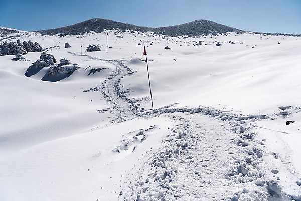 포토 JPG 주간 설경 겨울 사람없음 야외 제주도 눈 깃발 눈길 한라산 겨울풍경 눈덮임 국내포토 자연요소 계절 길 컨셉 날씨 산 한국 눈_날씨 풍경 파일형식