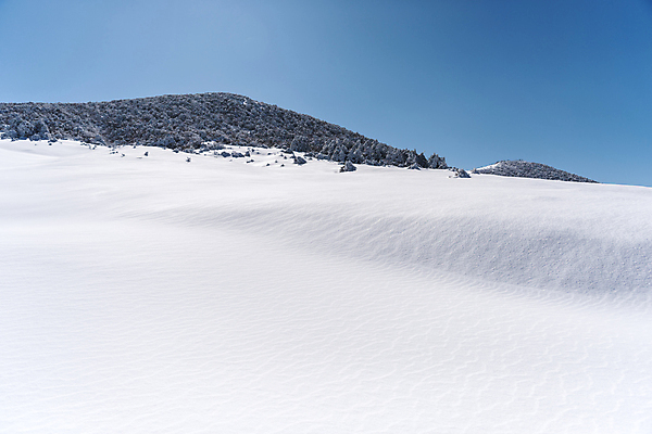 포토 JPG 주간 설경 겨울 하늘 사람없음 야외 제주도 맑음 눈 한라산 겨울풍경 눈덮임 국내포토 자연요소 계절 컨셉 날씨 산 한국 풍경 파일형식