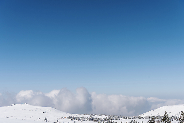 포토 JPG 주간 설경 겨울 하늘 사람없음 야외 제주도 맑음 안개 눈 한라산 겨울풍경 눈덮임 국내포토 자연요소 계절 컨셉 날씨 산 한국 풍경 파일형식