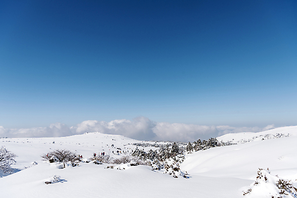 포토 JPG 주간 설경 겨울 하늘 사람없음 야외 제주도 맑음 안개 눈 한라산 겨울풍경 눈덮임 국내포토 자연요소 계절 컨셉 날씨 산 한국 풍경 파일형식