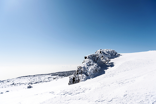 포토 JPG 주간 설경 겨울 하늘 사람없음 야외 제주도 맑음 눈 한라산 겨울풍경 눈덮임 국내포토 자연요소 계절 컨셉 날씨 산 한국 풍경 파일형식