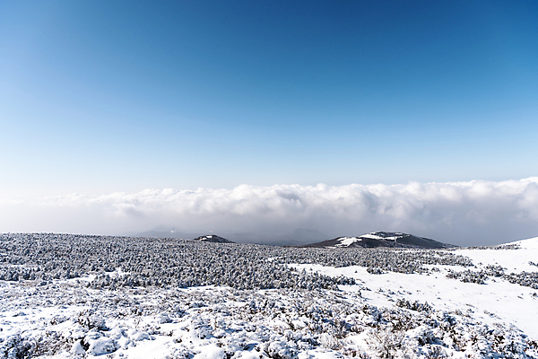 포토 JPG 주간 구름 설경 겨울 하늘 사람없음 야외 제주도 맑음 눈 한라산 겨울풍경 눈덮임 국내포토 자연요소 계절 컨셉 날씨 산 한국 풍경 파일형식