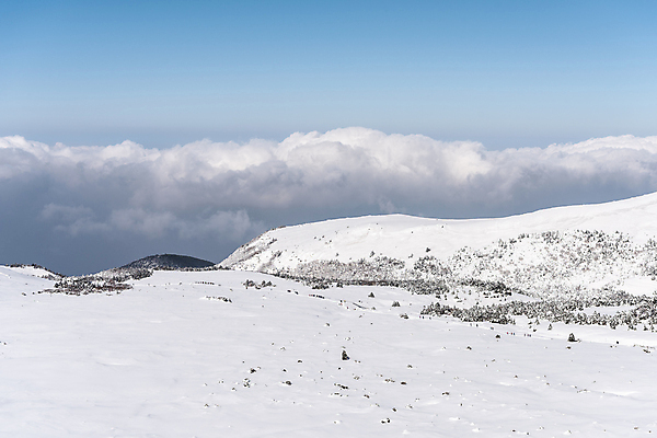 포토 JPG 주간 구름 설경 겨울 하늘 사람없음 야외 제주도 맑음 눈 한라산 겨울풍경 눈덮임 국내포토 자연요소 계절 컨셉 날씨 산 한국 풍경 파일형식