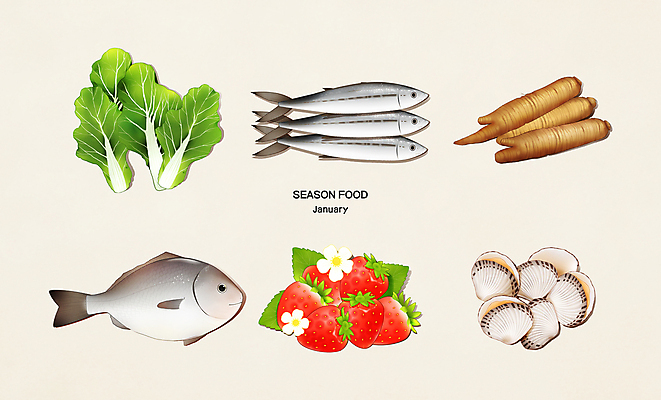 PSD 여러마리 일러스트 식재료 딸기 사람없음 여러개 도미 1월 꼬막 더덕 삼치 봄동 제철음식 국내일러스트 음식 다수 채소 과일 어패류 어류 날짜 제철 파일형식