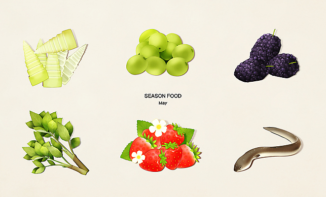 PSD 한마리 일러스트 식재료 딸기 사람없음 5월 장어 죽순 두릅 매실 오디 제철음식 국내일러스트 1 열매 음식 채소 과일 어류 날짜 제철 파일형식