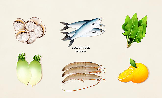 PSD 여러마리 일러스트 식재료 새우 사람없음 무 11월 시금치 고등어 꼬막 유자 제철음식 국내일러스트 음식 다수 채소 과일 어패류 뿌리채소 갑각류 어류 날짜 제철 파일형식