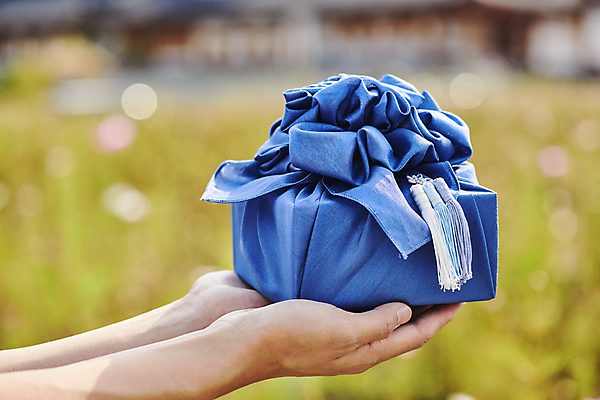 포토 JPG 주간 한국전통 손 명절 전통문화 선물포장 선물 들기 야외 아웃포커스 신체부위 선물상자 보자기 보케 장식술 명절선물 국내포토 자연요소 전통 기념일 문화 포장 모션 한국 촬영기법 사람 장식 상자 파일형식 천_직물