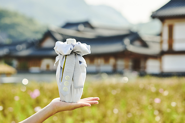 포토 JPG 주간 한국전통 손 명절 전통문화 한옥 선물포장 선물 들기 야외 아웃포커스 신체부위 선물상자 보자기 보케 명절선물 국내포토 자연요소 전통 기념일 문화 고건축 포장 모션 한국 촬영기법 사람 상자 파일형식 천_직물
