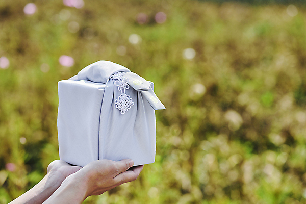 포토 JPG 주간 한국전통 손 명절 전통문화 선물포장 선물 들기 야외 아웃포커스 신체부위 선물상자 보자기 보케 명절선물 국내포토 자연요소 전통 기념일 문화 포장 모션 한국 촬영기법 사람 상자 파일형식 천_직물