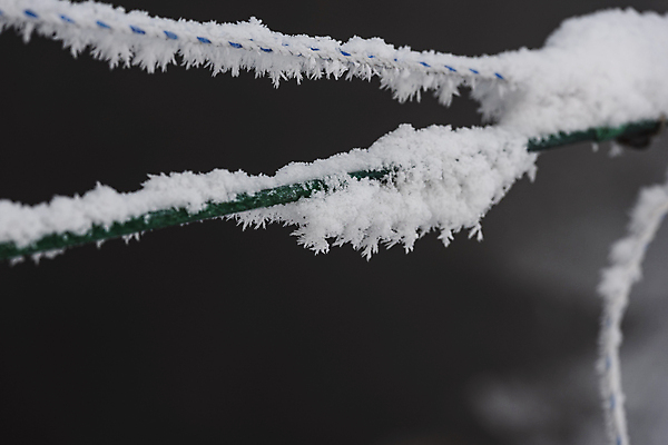 포토 JPG 주간 줄 설경 눈꽃 근접촬영 사람없음 야외 아웃포커스 눈 겨울풍경 눈덮임 국내포토 자연요소 뷰포인트 컨셉 겨울 날씨 눈_날씨 촬영기법 풍경 파일형식