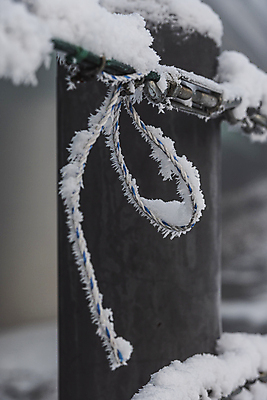 포토 JPG 주간 줄 설경 눈꽃 근접촬영 사람없음 야외 아웃포커스 눈 기둥 겨울풍경 눈덮임 국내포토 자연요소 건축 뷰포인트 컨셉 겨울 날씨 눈_날씨 촬영기법 풍경 파일형식