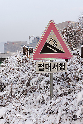 포토 JPG 주간 설경 사람없음 야외 눈 풀 도로표지판 서행 안전표지판 겨울풍경 눈덮임 국내포토 자연요소 식물 도로 컨셉 겨울 날씨 풍경 표지판 파일형식