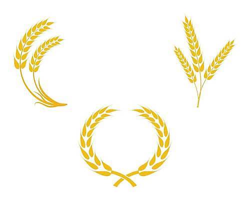 EPS 해외이미지 식물 디자인 배너 음식 빵 백그라운드 농업 다이어트 일러스트 밥 건조 건강 옥수수 씨앗 농작물 농장 노란색 라벨 수확 성장 흰색 신선 시장 황금 상품 낟알 밀 먹기 심볼 사인 유기농 귀 밀가루 C 스파이크 내추럴 고립 밭일 엘리먼트 귀리 해외일러스트 웰빙 알파벳 산업 컬러 모션 곡류 프레임 신체부위 가루 파일형식 벡터 이미지허브