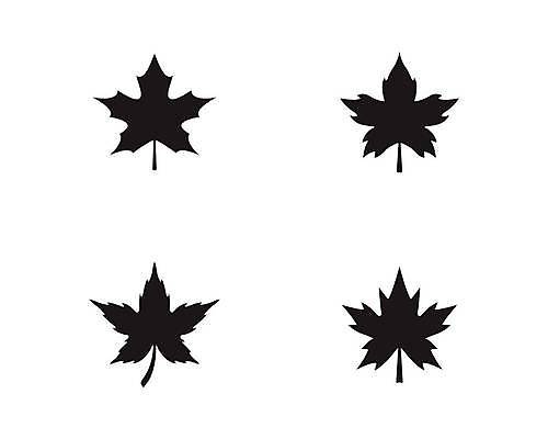 EPS 해외이미지 모양 나무 식물 템플릿 디자인 계절 실루엣 백그라운드 단풍 잎 캐나다 일러스트 비즈니스 자연 추상 미술 그래픽 빨간색 가을 흰색 깃발 플랫 정상 심볼 오브젝트 사인 심플 윤곽 북쪽 토론토 내추럴 고립 엘리먼트 전국 스타일 해외일러스트 컬러 북아메리카 무늬 문화예술 촬영기법 방향 생태계 파일형식 벡터 이미지허브