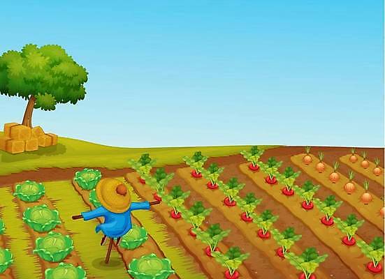 EPS 해외이미지 나무 식물 지구 백그라운드 밭 농업 채소 일러스트 부분 하늘 풍경 야외 여름 파란색 농작물 농장 쌓기 정원 맑음 흙 당근 성장 시골 볏짚 상추 만화 땅 만족 양배추 먼지 장면 뭉치 밀짚 총각무 세련 해외일러스트 계절 감정 산업 컬러 모션 날씨 뿌리채소 짚 무 파일형식 벡터 이미지허브